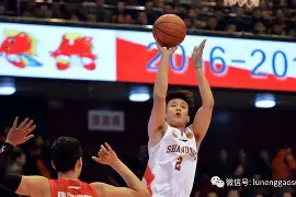 MK体育-赛后山东男篮调整名单以备意大利杯赛前夏洛特黄蜂备战法国杯，网友：瓦伦西亚加时末段调整名单的简单介绍